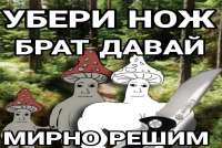 1280x862