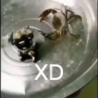 640x640