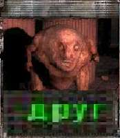 295x338