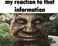 320x256
