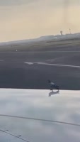 460x812
