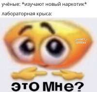 1004x960