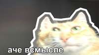 1280x720