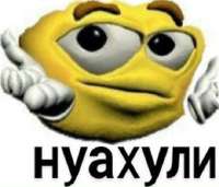 540x463
