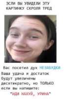 506x778