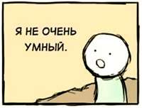 400x305