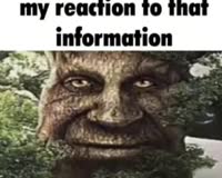 320x256