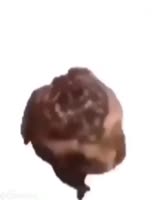 720x918