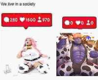 532x437