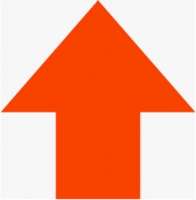 295x300