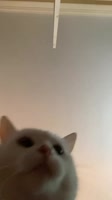 640x1138