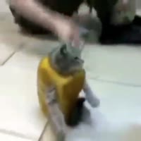 426x426