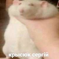 400x400