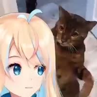 426x426