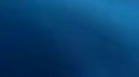 360x202