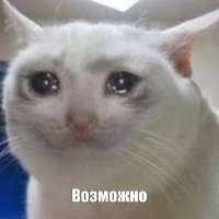 300x300