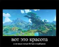 510x407