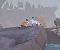344x286