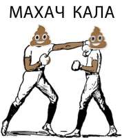 537x604