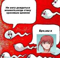 736x708