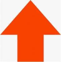 295x300