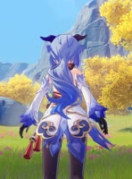 684x922