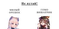 1565x795