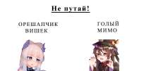 1565x795
