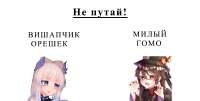 1565x795