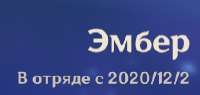 236x113
