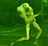 498x480