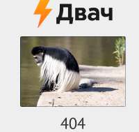 528x499
