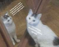 504x399