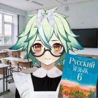 736x736