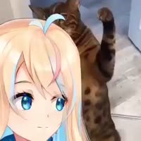 426x426