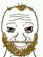 529x694