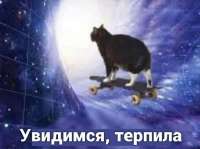 659x493