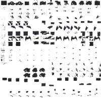 1248x1216