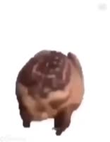 720x918