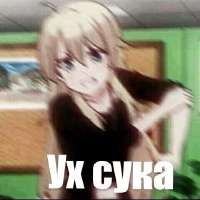 480x480