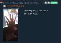 383x269