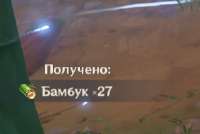281x189