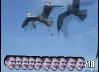 490x360