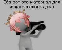 736x599