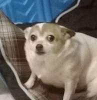 300x309