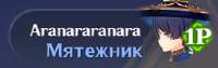 257x81