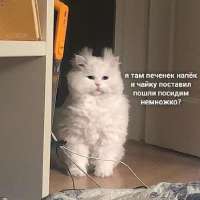 449x449