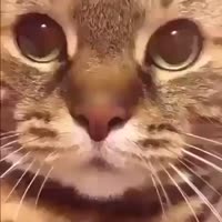 360x360