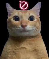 360x438