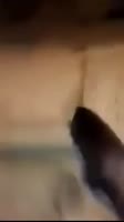202x360